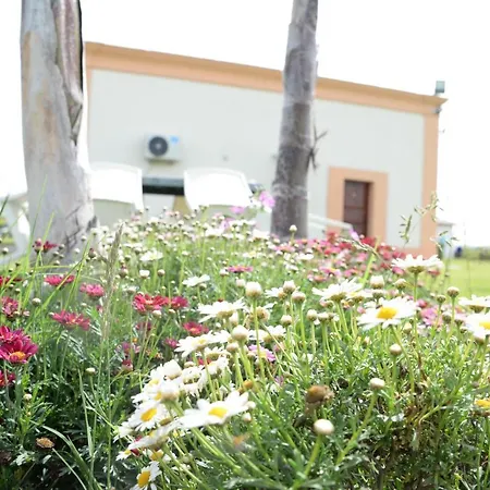 Ristorante Termitito