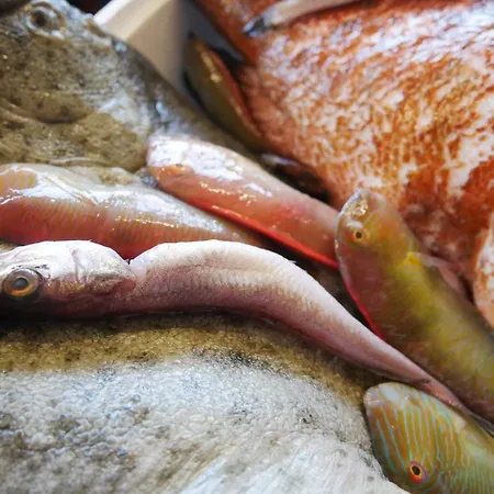 Ristorante Termitito Hotel Scanzano Jonico