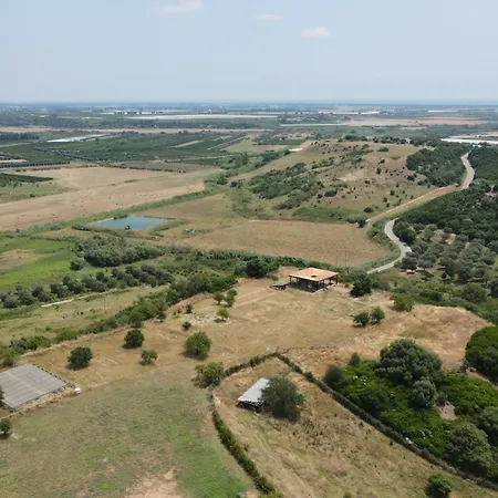 Ristorante Termitito *
