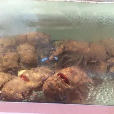 Hotel Ristorante Termitito *