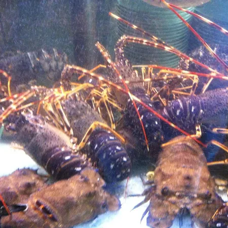 Ristorante Termitito Scanzano Jonico