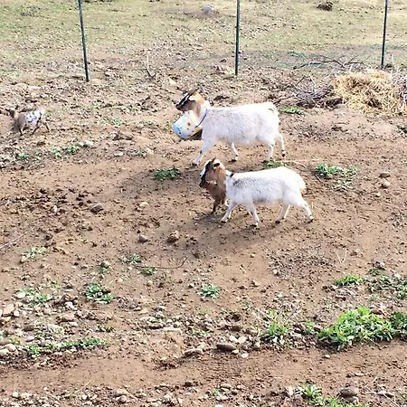 Hotel Ristorante Termitito Scanzano Jonico
