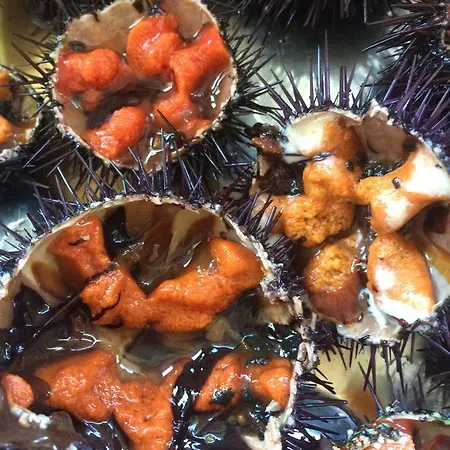 Ristorante Termitito