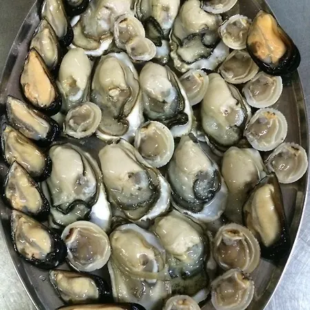 Ristorante Termitito Hotel