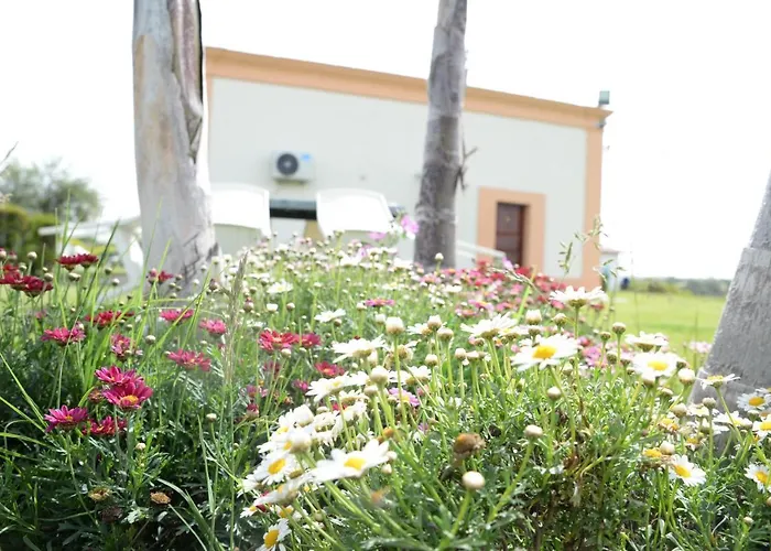 Ristorante Termitito