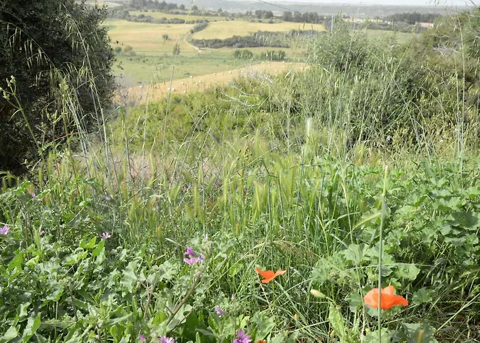 Hotel Ristorante Termitito