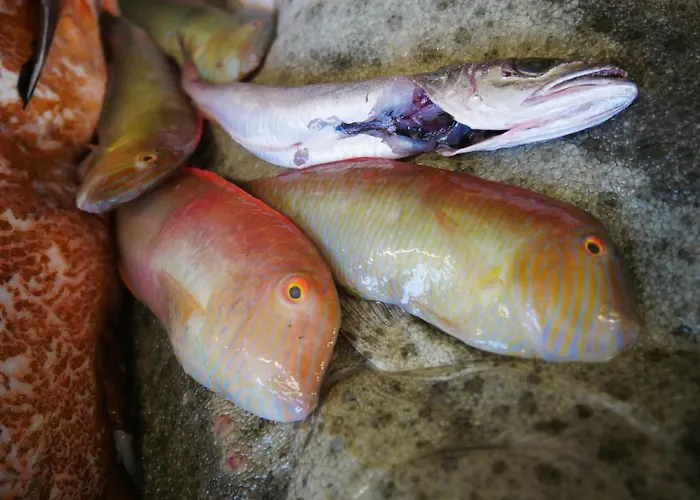 Ristorante Termitito Hotel Scanzano Jonico