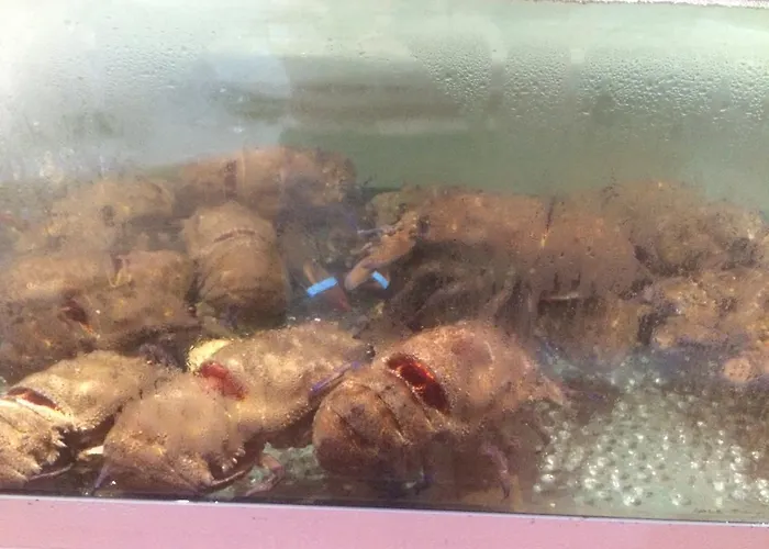 Hotel Ristorante Termitito *