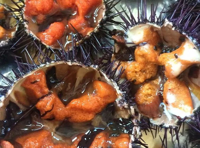 Ristorante Termitito