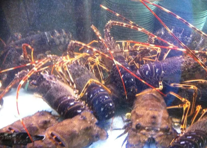 Ristorante Termitito Scanzano Jonico