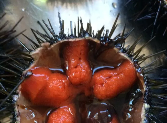 Hotel Ristorante Termitito